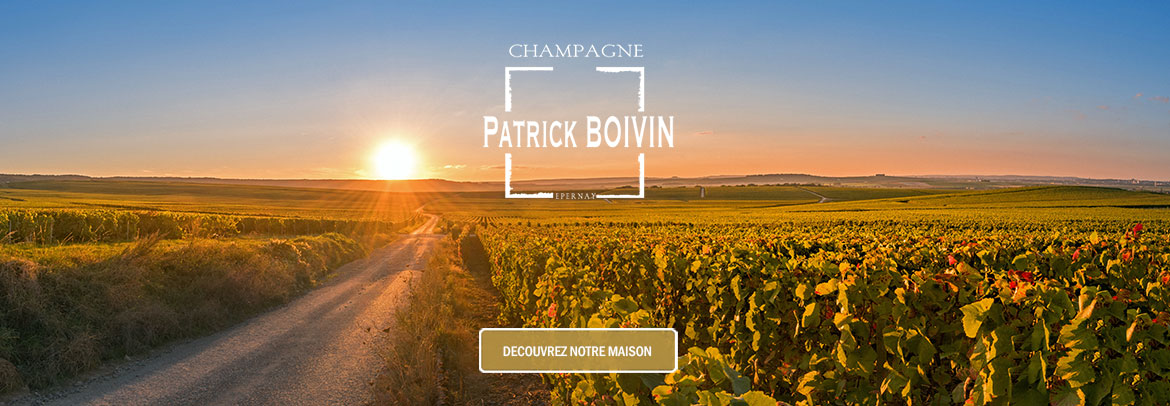 Visite de caves de champagne à Épernay