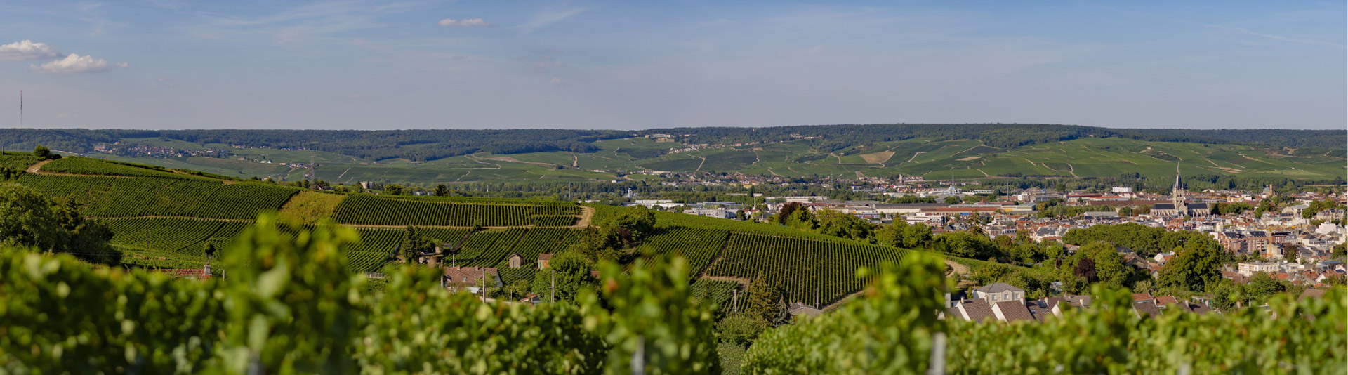 Champagne Patrick Boivin - Epernay