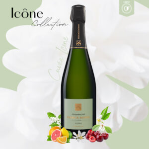 Collection Icône Premier Cru